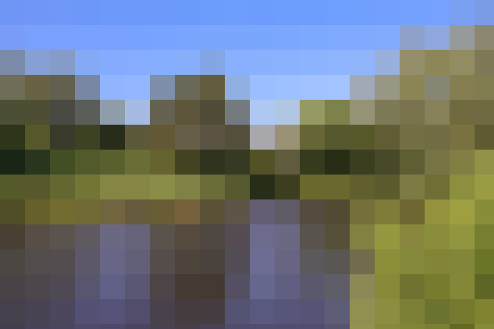 Image 37