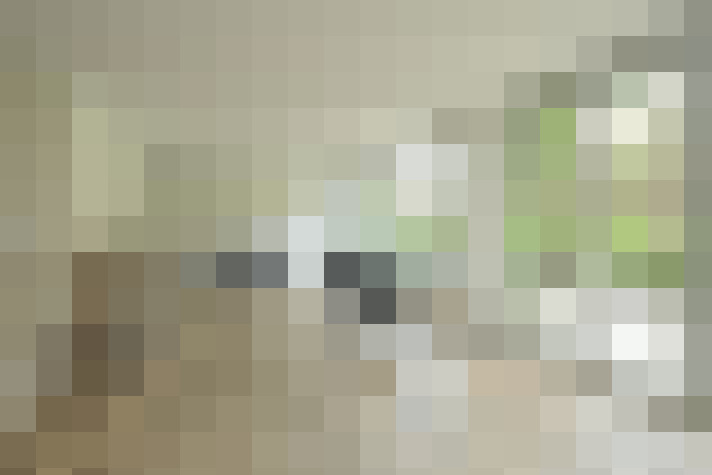 Image 26