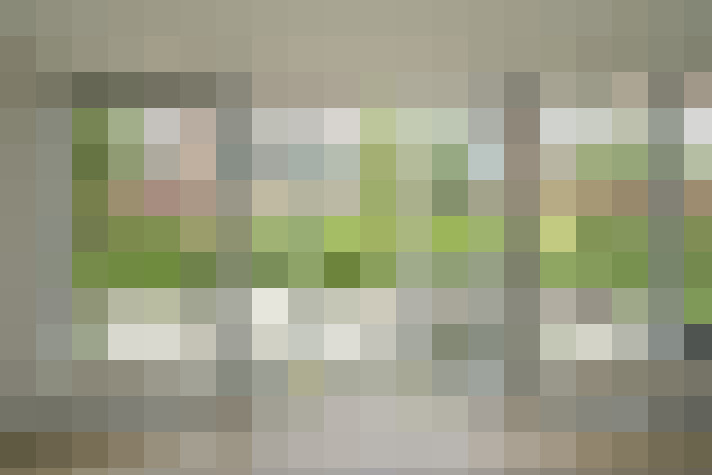 Image 29