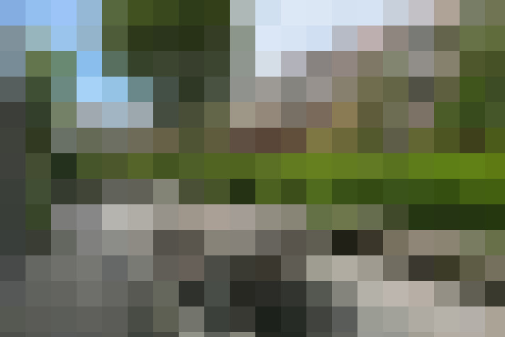 Image 31