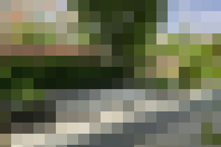 Image 32