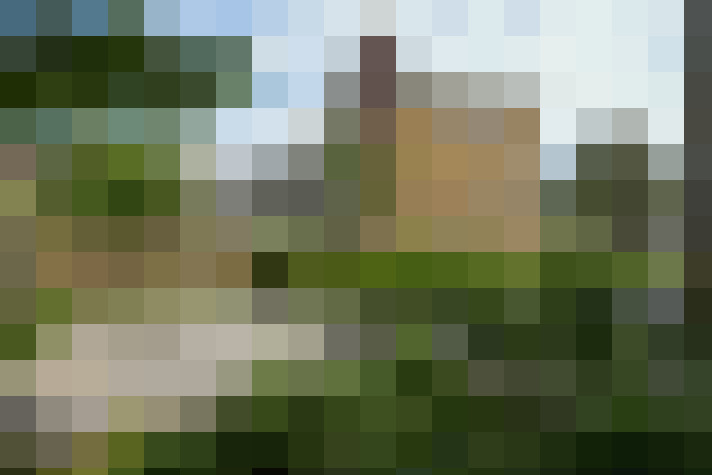 Image 33
