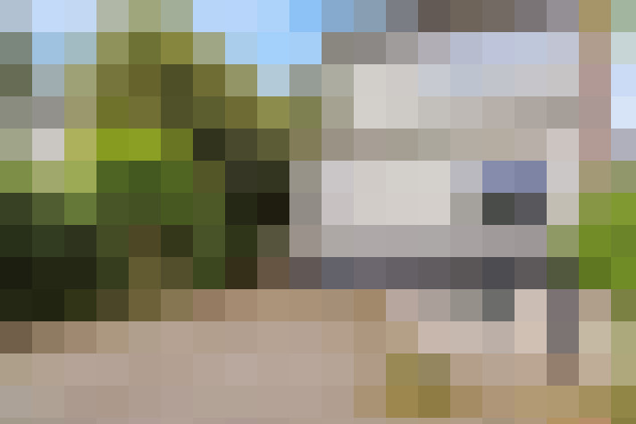 Image 30