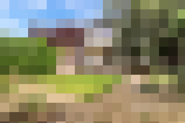 Image 14