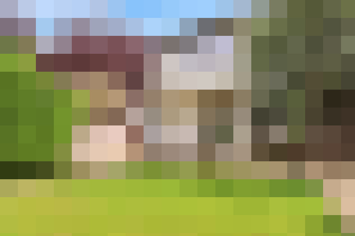 Image 13