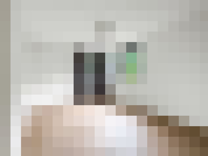 Image 28