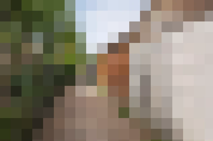 Image 24