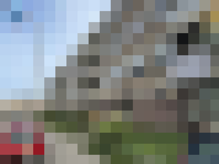 Image 13