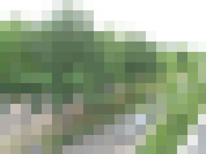 Image 17