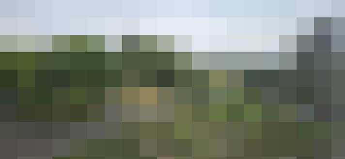 Image 23