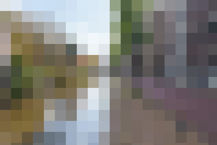 Image 24