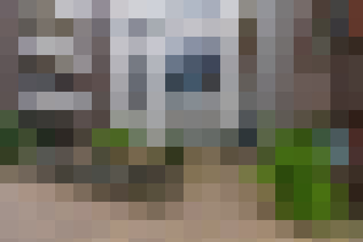 Image 20