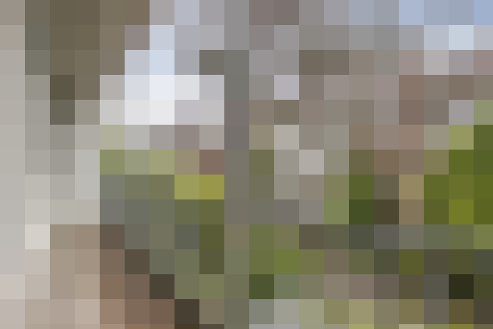 Image 17