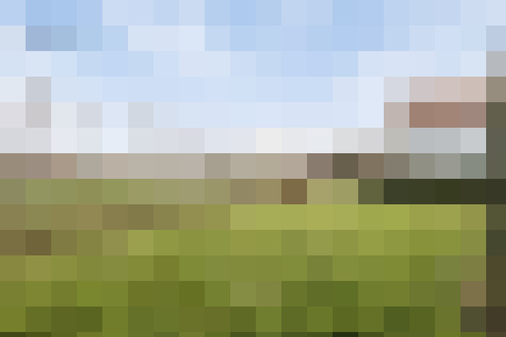 Image 31