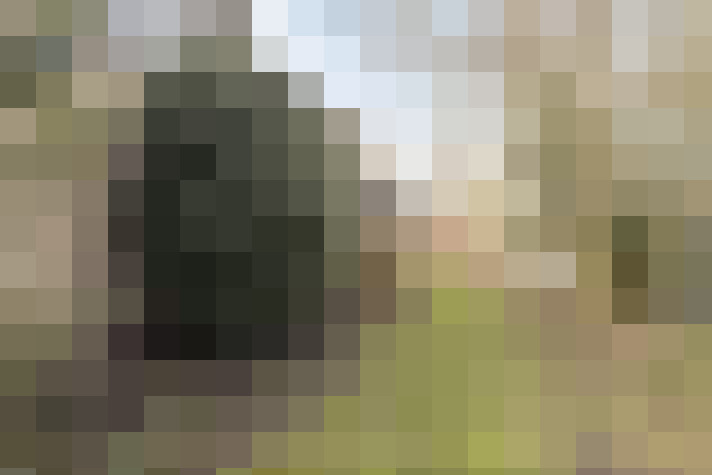 Image 33