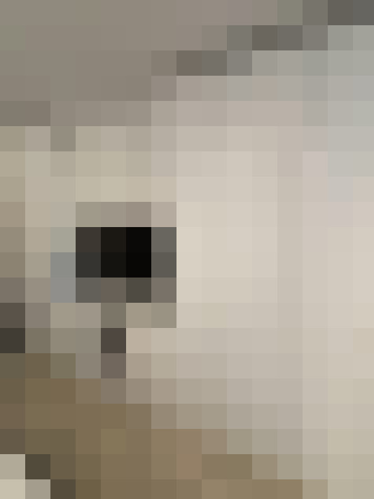  / #16