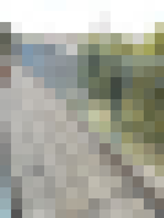 Image 20