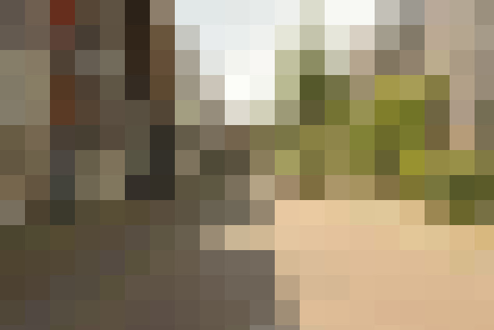 Image 25