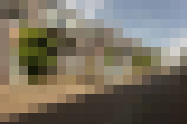Image 16