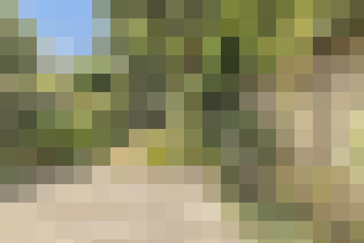 Image 17