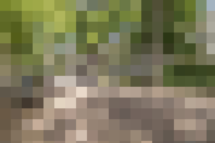 Image 30
