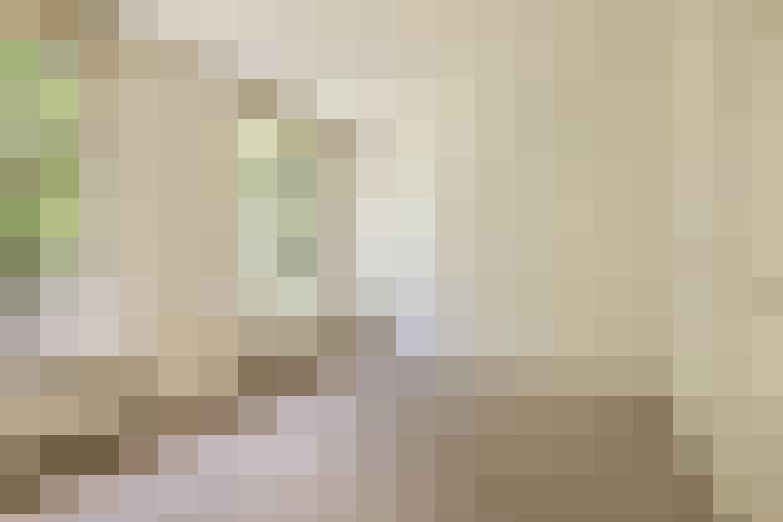Image 25
