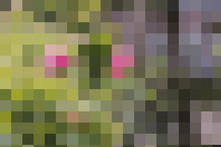 Image 16