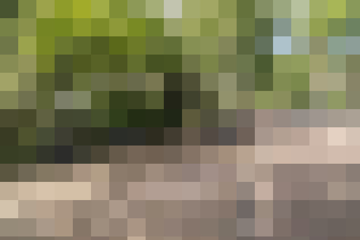 Image 31
