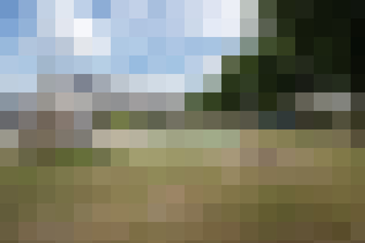 Image 38