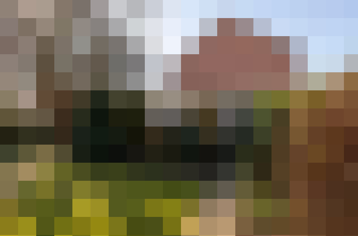 Image 17