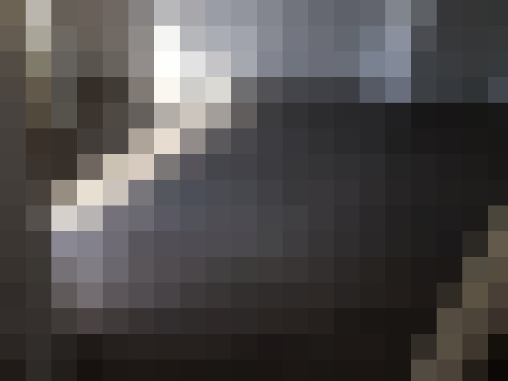 Image 29
