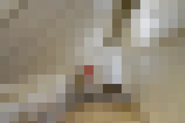 Image 13