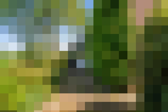 Image 24