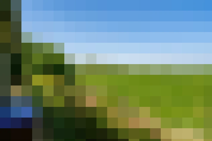 Image 25