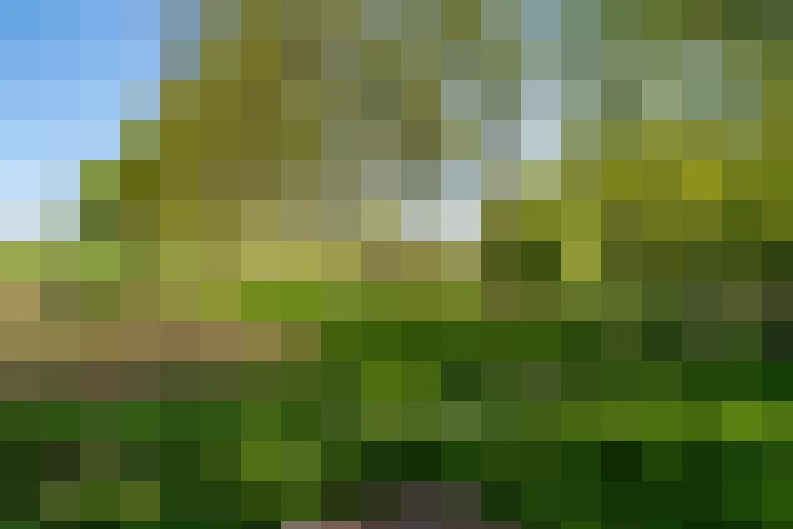 Image 23