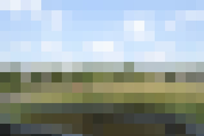 Image 23
