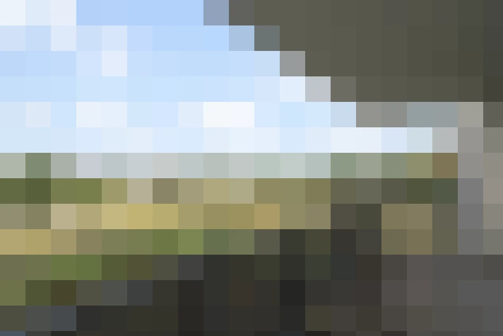Image 22