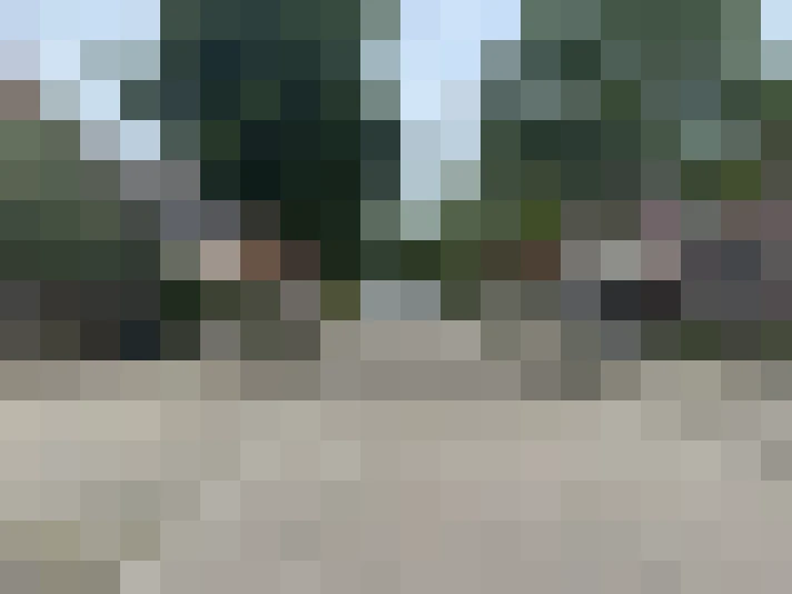 Image 20