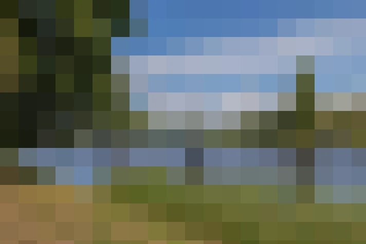Image 29