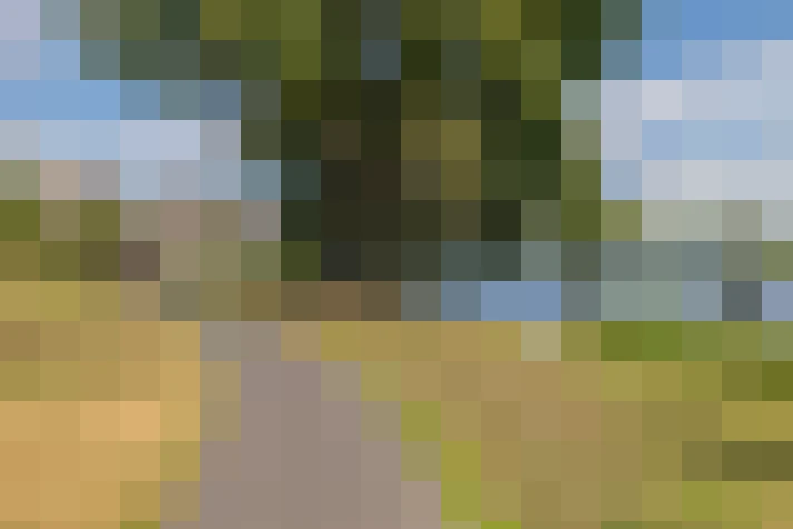 Image 30