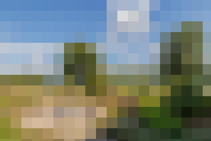 Image 31