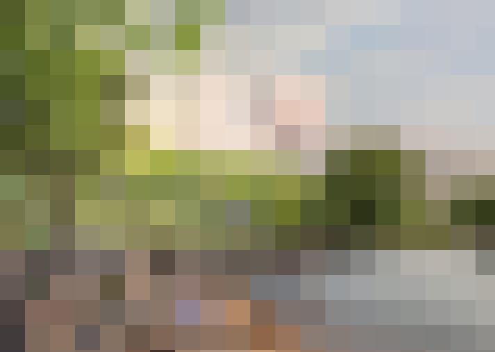 Image 38