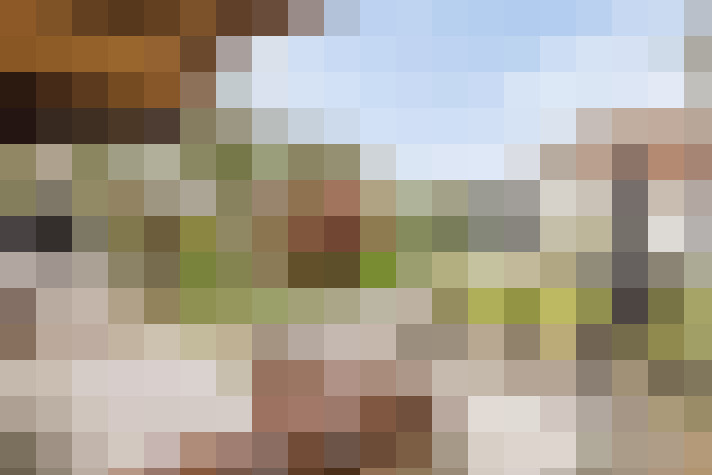 Image 32