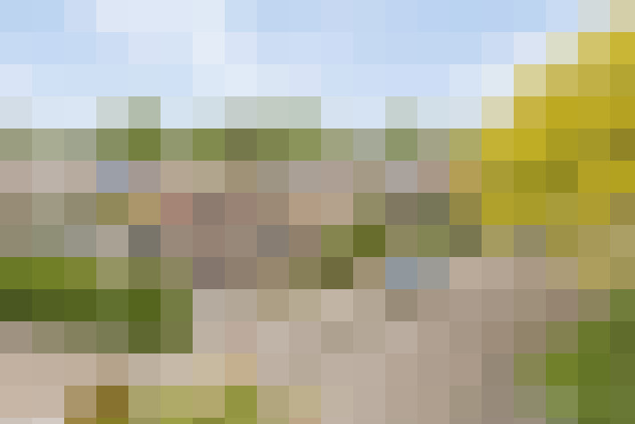 Image 39
