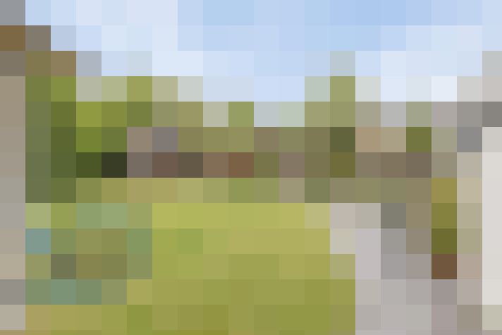 Image 31