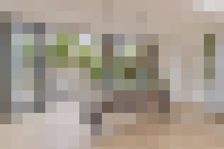 Image 18