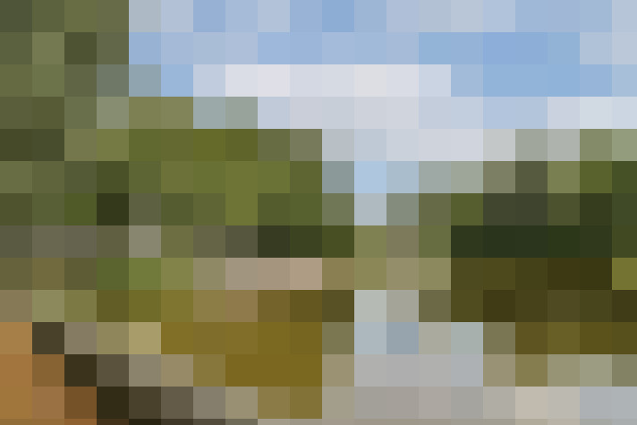 Image 22