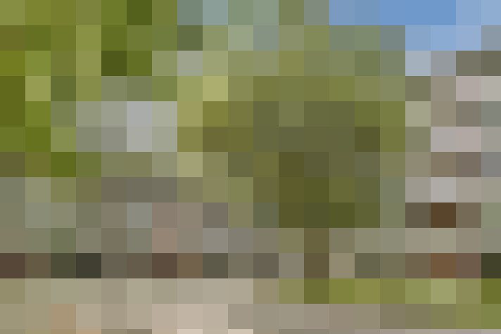 Image 23