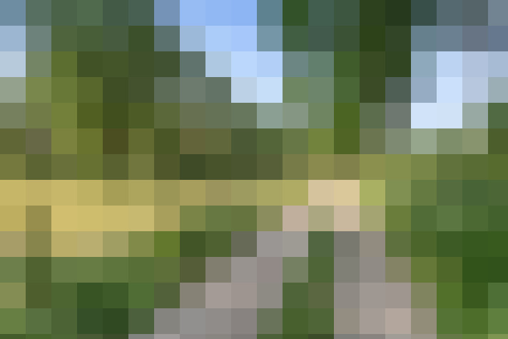 Image 53
