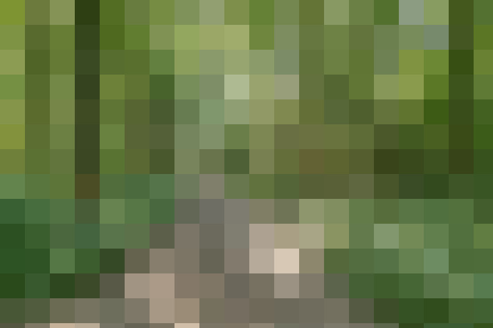 Image 54